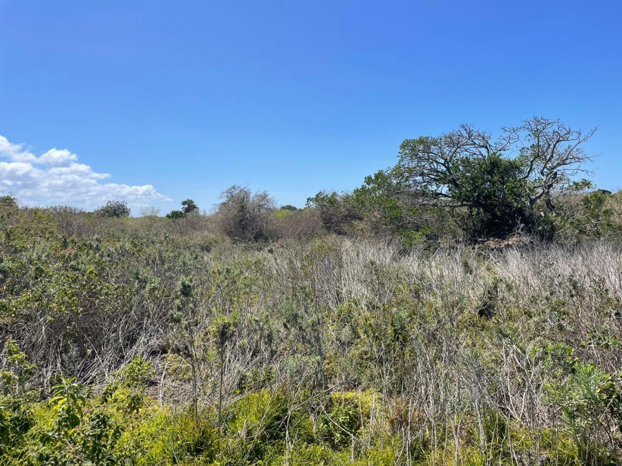 0 Bedroom Property for Sale in Forest Downs Eastern Cape